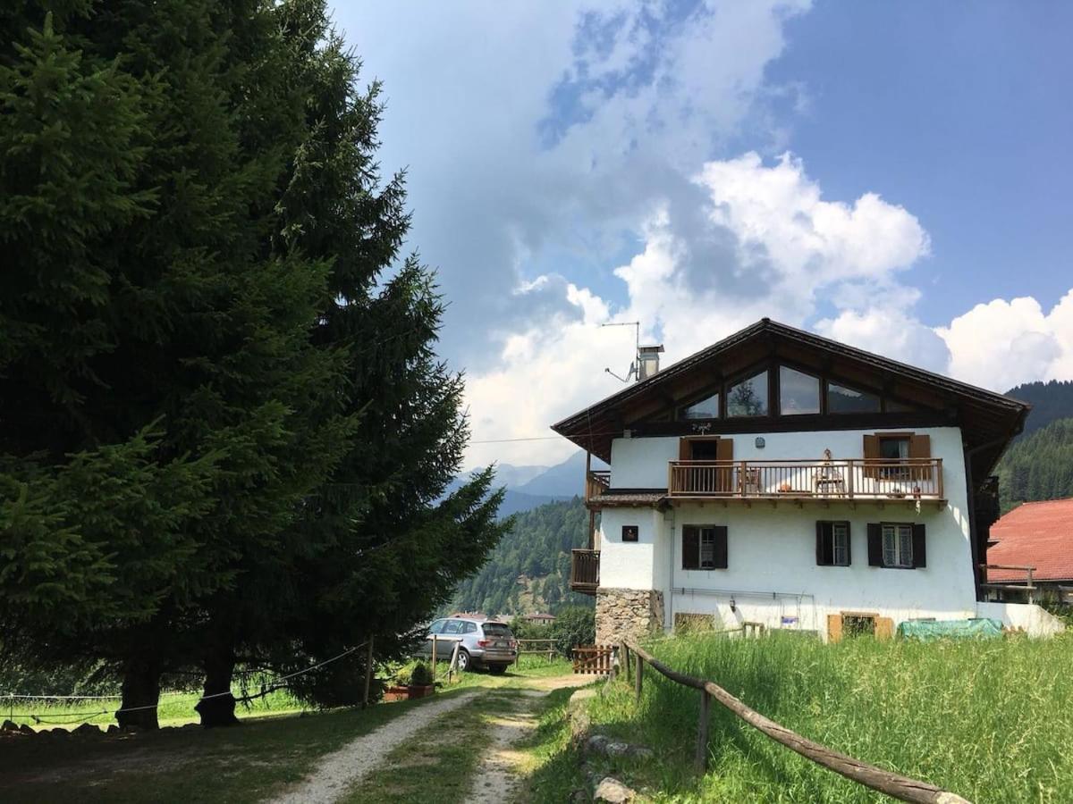 Casa Bernard Zortea Vanoi Cuore Verde Del Trentino Canal San Bovo Εξωτερικό φωτογραφία